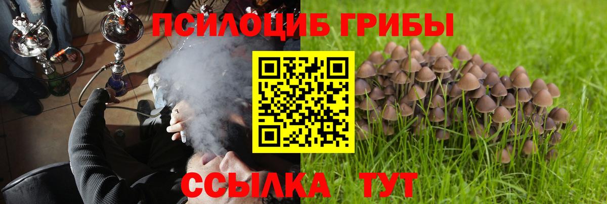 Альметьевск  Галлюциногенные грибы Psilocybe  Вход с VPN  магазин продажи   Галлюциногенные грибы прущие грибы 